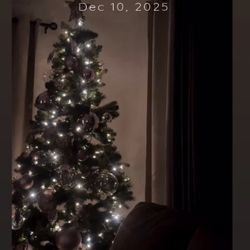 Free  Christmas Tree 