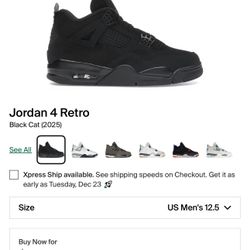Jordan 4 Black Cat 