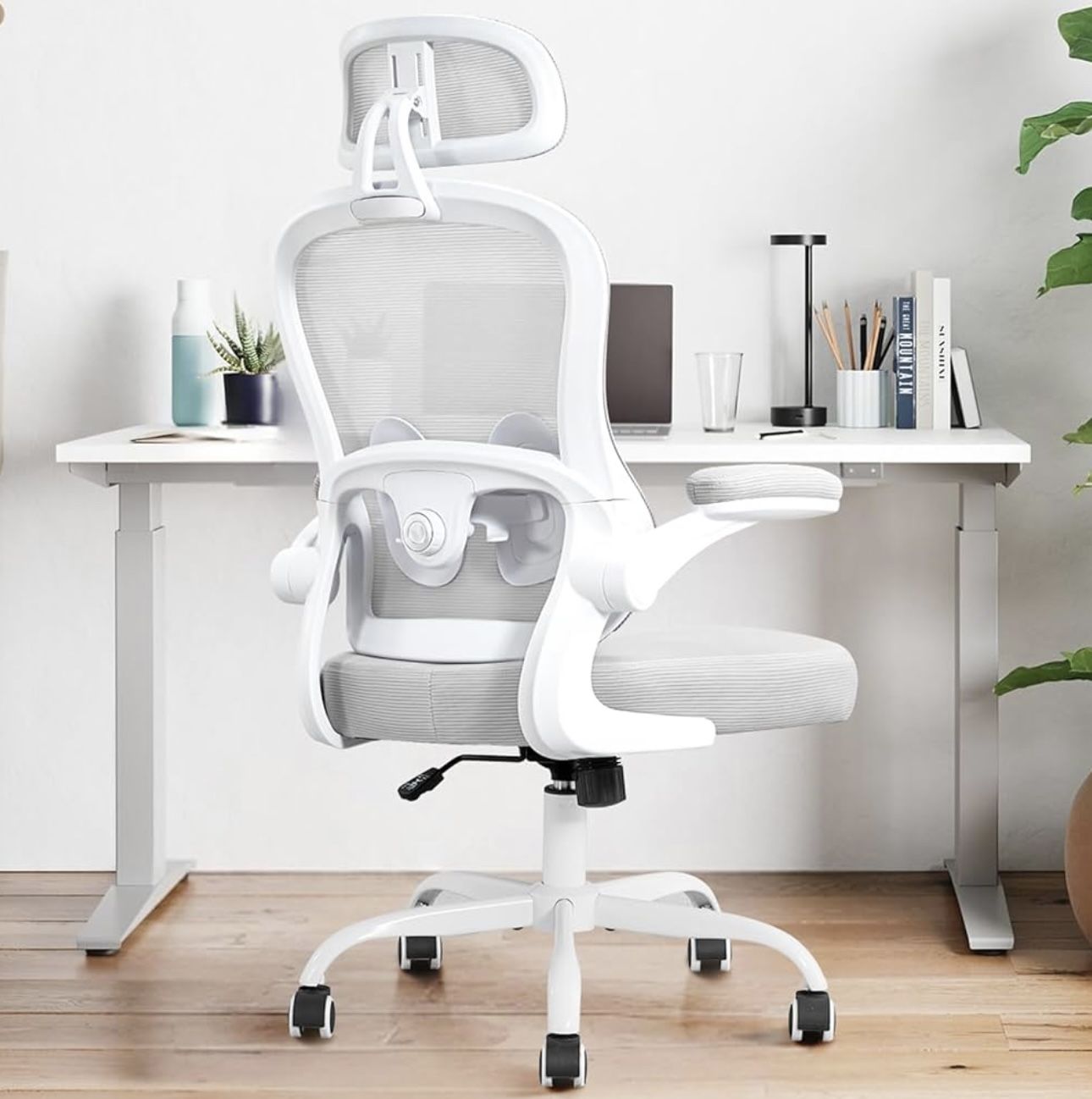 Ergonomic Office Chair
