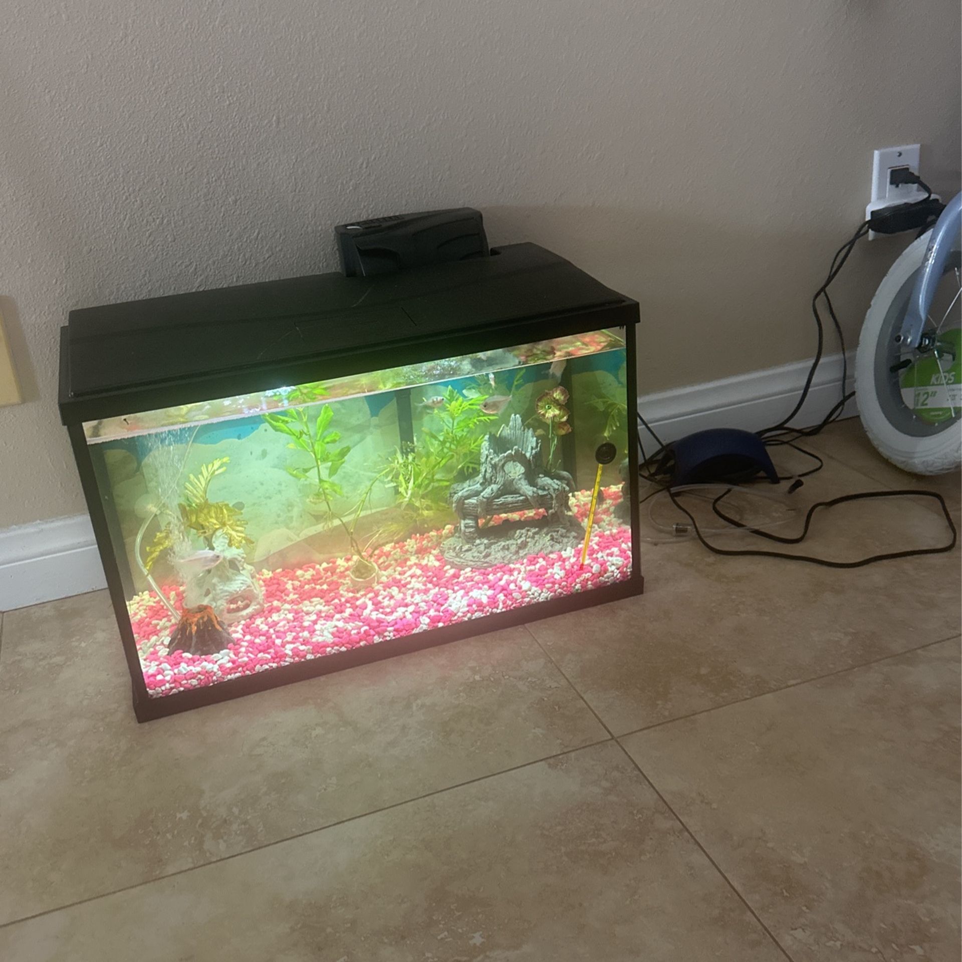 fish tank