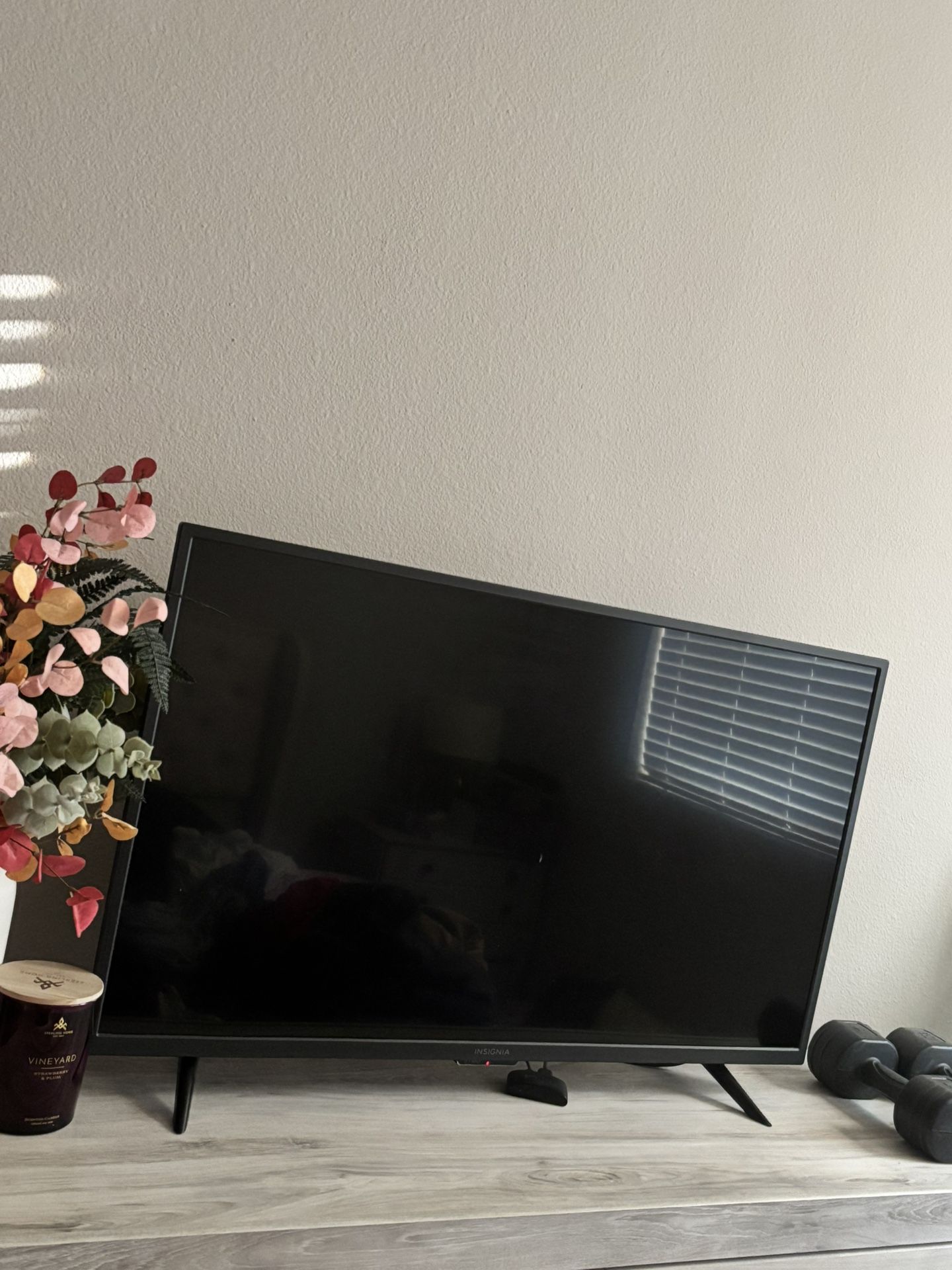 43 Inch Insignia Tv