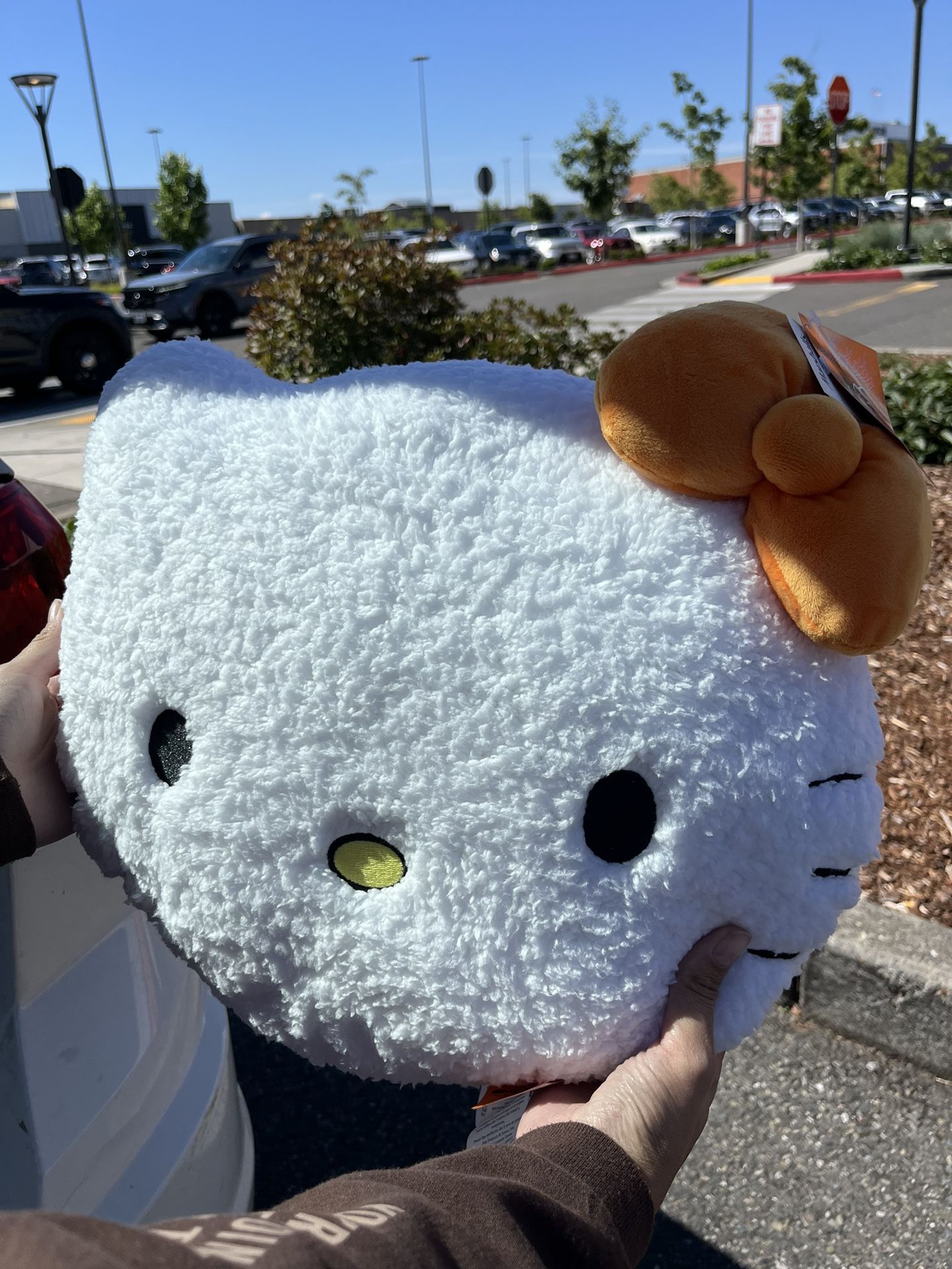 Hello Kitty Halloween Pillow