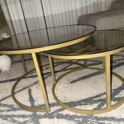 Nesting Coffee Table Set of 2