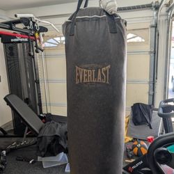 Everlast 100lb Weighted Punching Bag