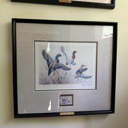 Framed duck Stamp