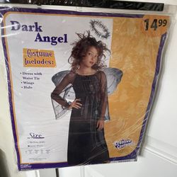 Dark Angel Costume