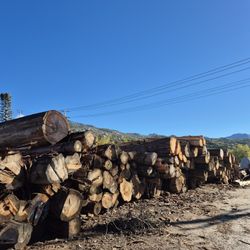 Live Edge  Wood Slabs 