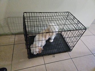 Med Dog Cage Only