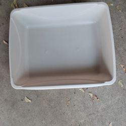 Cat Box