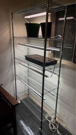 Seed starting rack