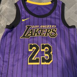 Los Angeles Lakers LeBron James Alternate Jersey Size Small