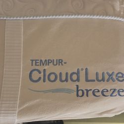 Twin XL Mattress And Bed Frame 