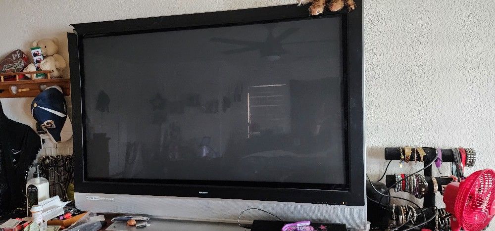 55 Inch Plasma Panel TV