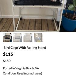 Great Bird Cage 