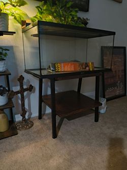 40 gallon reptile terrarium