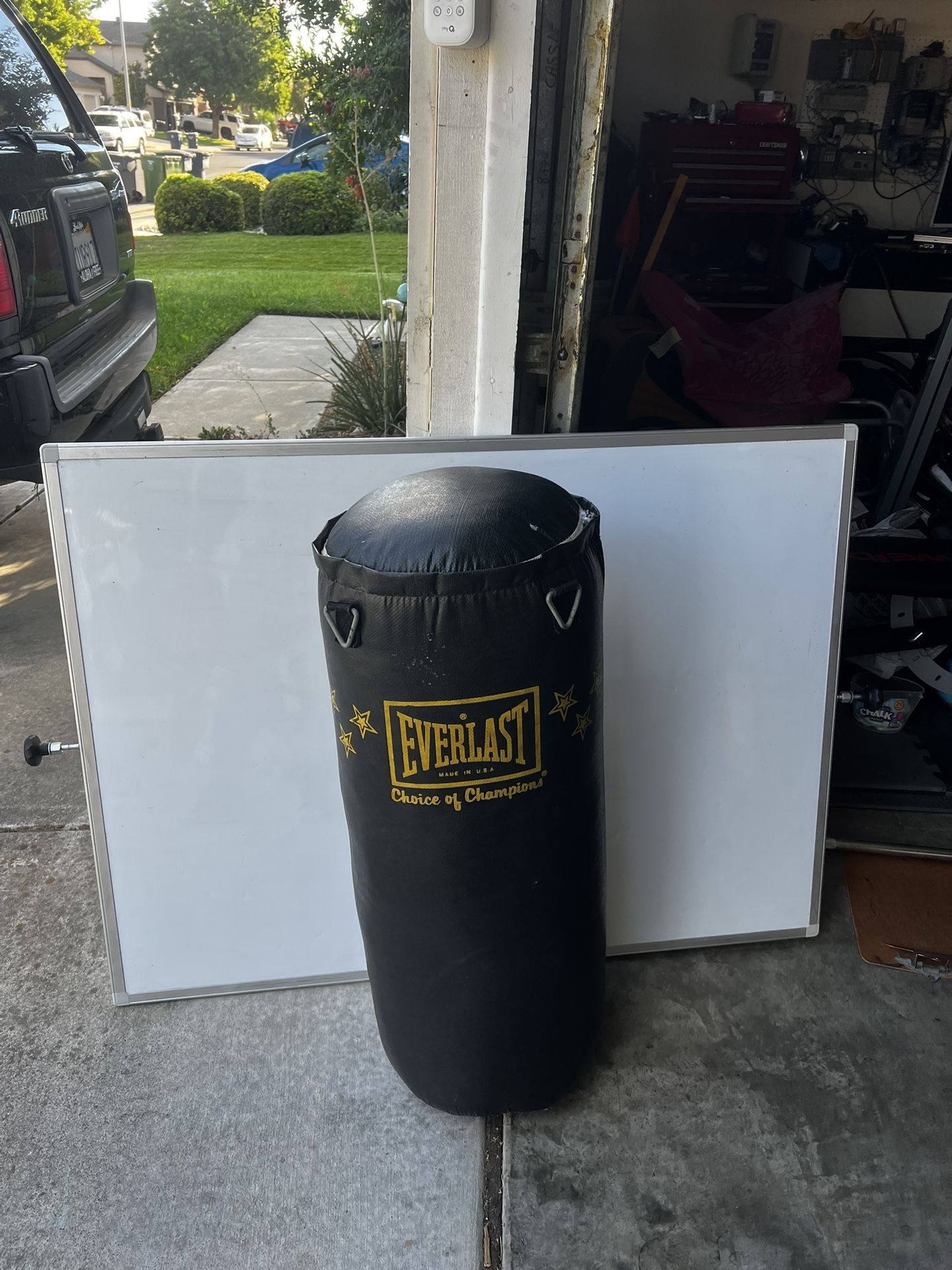 Punching Bag Boxing Bag