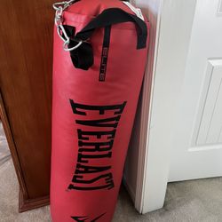 Everlast Nevatear 70lb Heavy Bag Kit