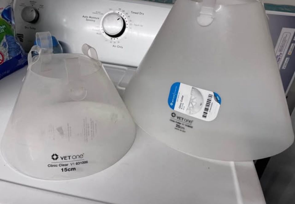 Large Dog Collar Neutered