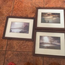 Sean tomkins Photography Pictures 