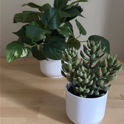 Modern Faux Plants, Great for Home Staging! 