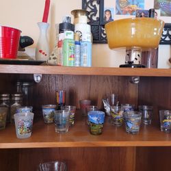 Shot Glass Collection 