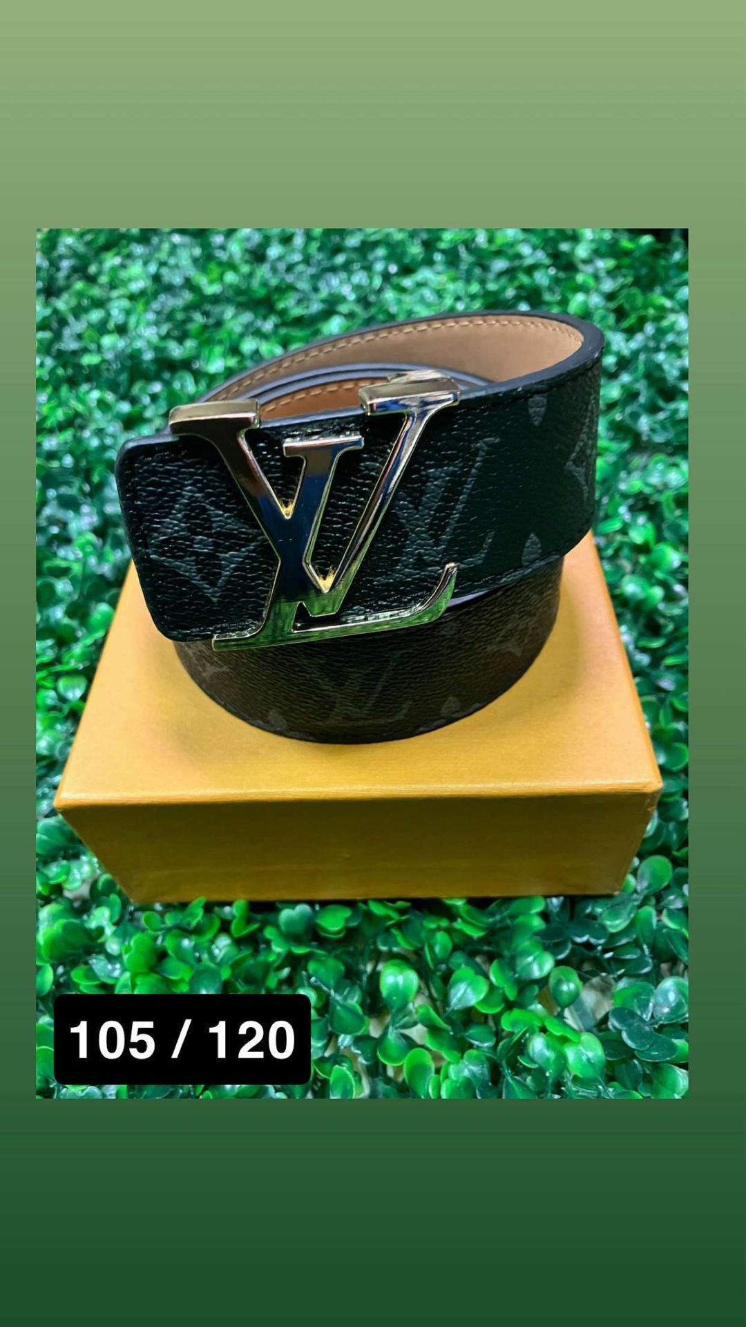 Loui V Belt Men’s 
