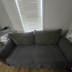 Couch, nice good conditions, has a cover, No odor, no damage.