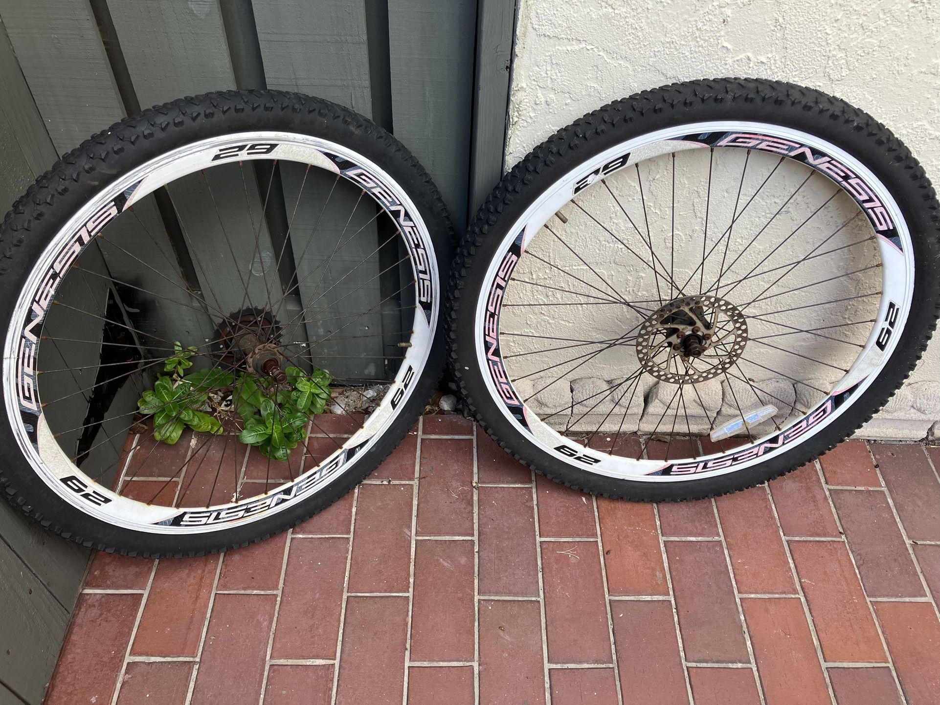 Bike Rims