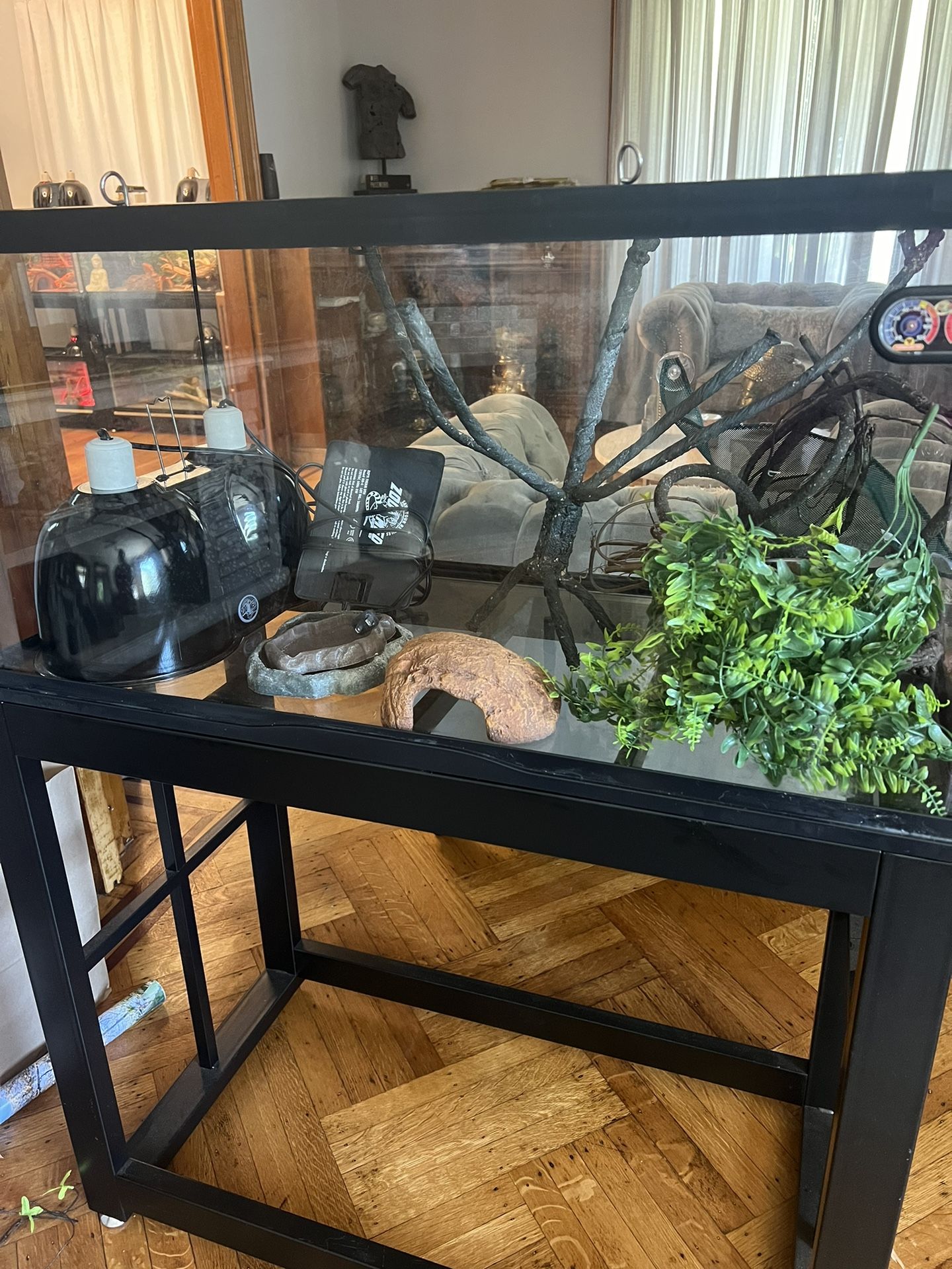 Terrarium 