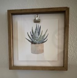 Matted & Framed Modern Plant Painting Wall Art Print Potted Succulent/Cactus