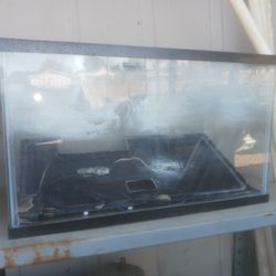 Fish Tank