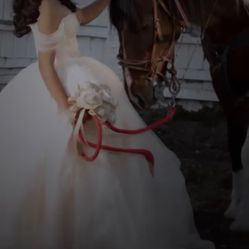 Champagne Quinceañera dress