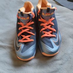 Nike Max Lebron Basketball Sneakers