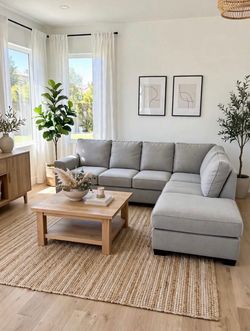 Sectional couch