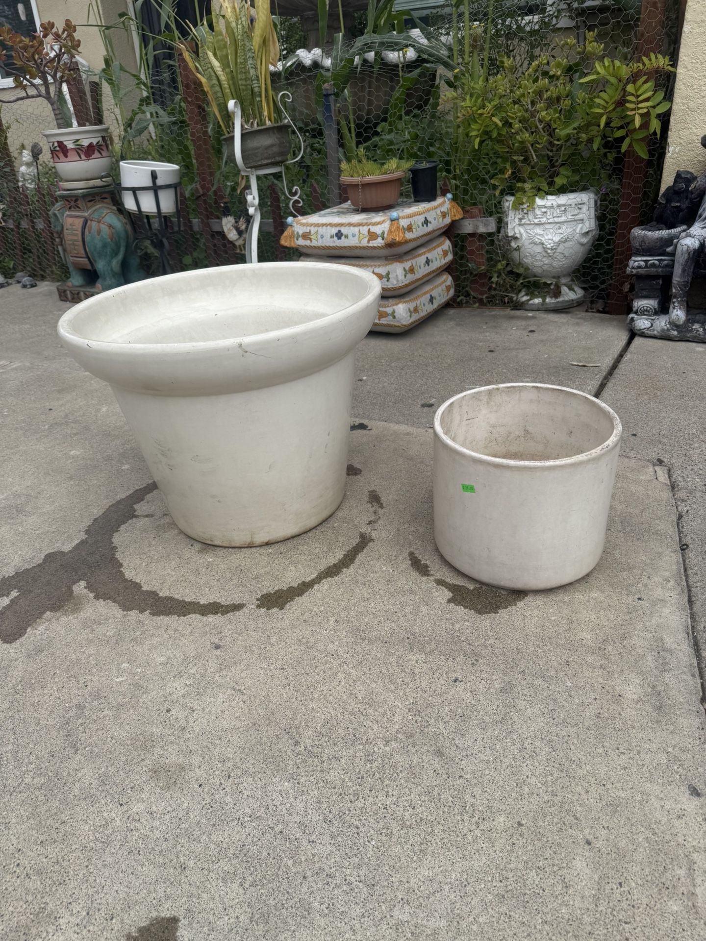 Pots Plants