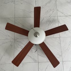 Ceiling Fan With Light