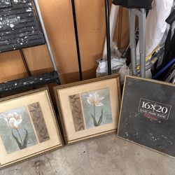 Framed Flower Pictures and 16 x 20 frame, pick up in Temple city