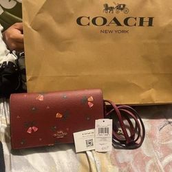 Coach Purses