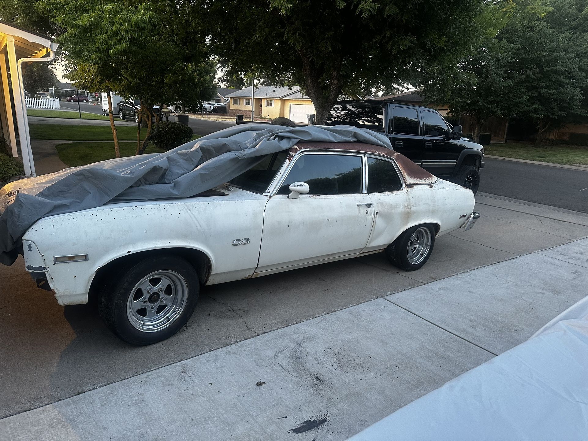 1973 Chevy Nova SS