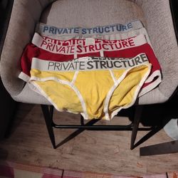 3 Pair Of Private Structure Underwear Size XL 3 Pair Of Hanes And One Pair Of Boxers