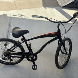 Giant Cruiser Bike