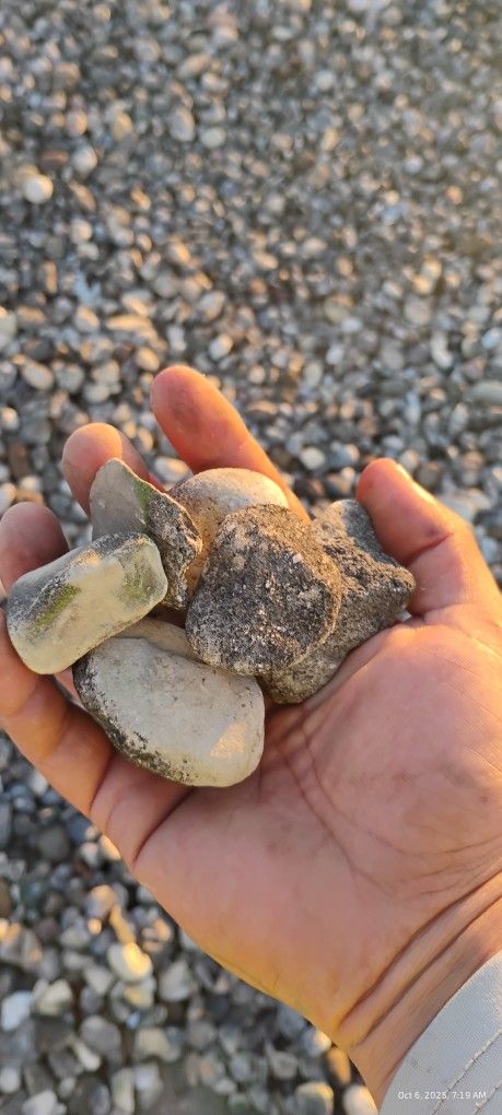 River Rock . Different Colors .