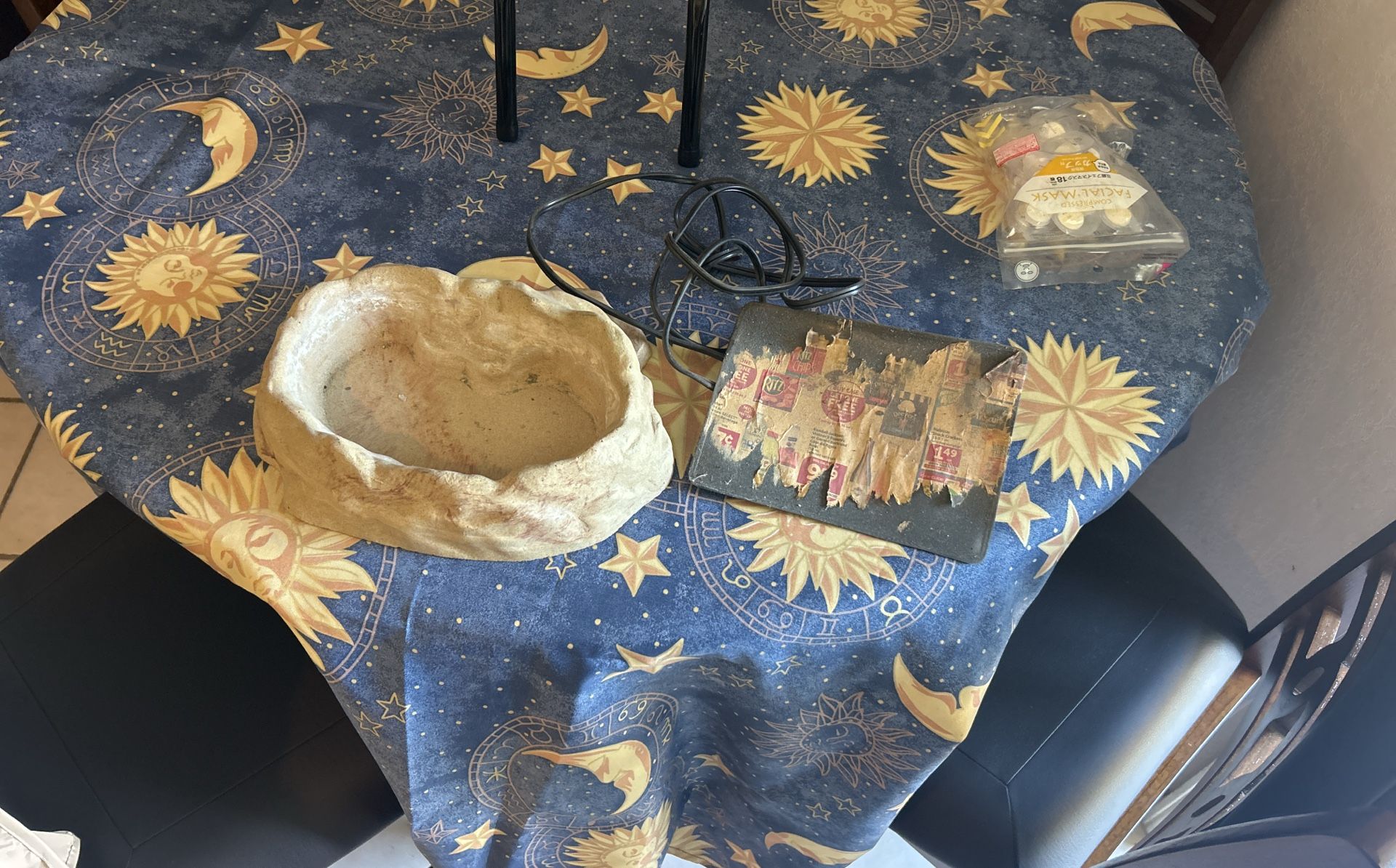 Water Bowl And Small Heating Pad For Reptiles