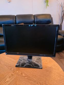 20 in computer monitor