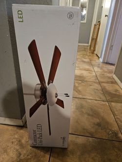 Ceiling fan
