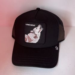 Goorin Bros Snapback Hat 🧢