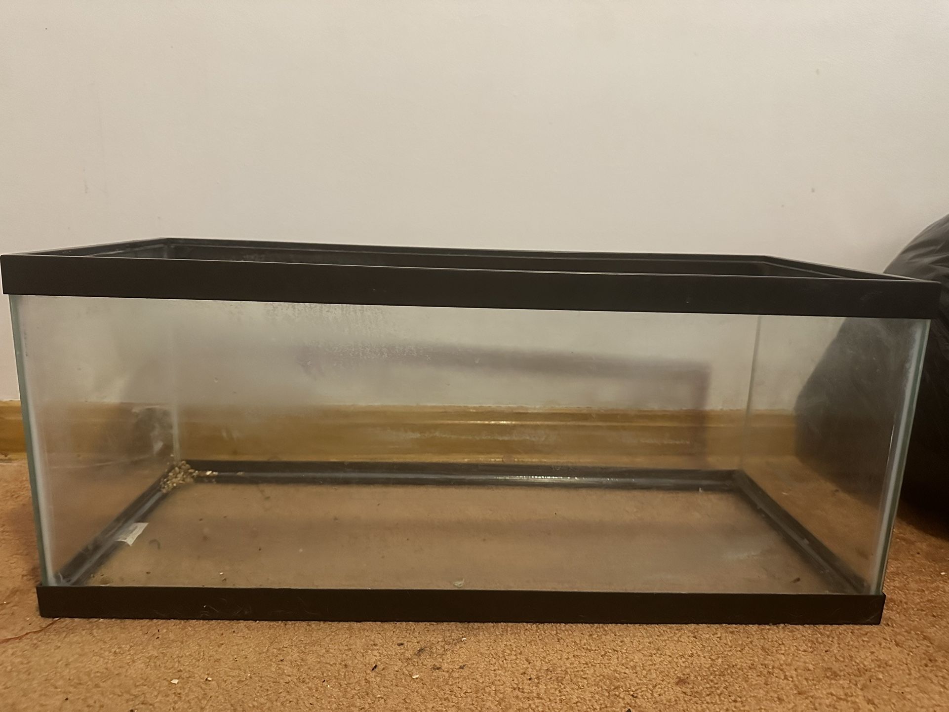 Fish Tank