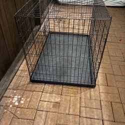 Dog Crates 