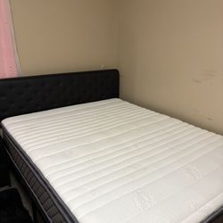 Mattress And Box Spring