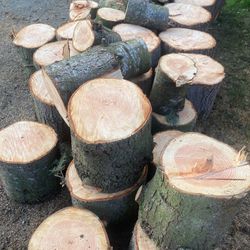 Free Woods